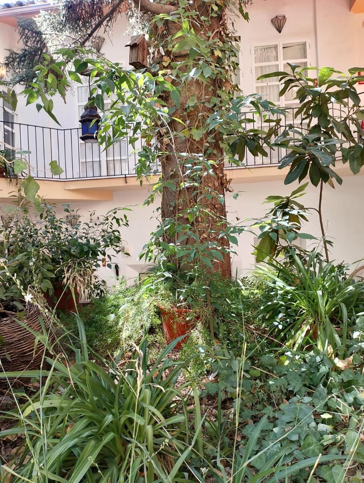 קאסורלה Casa Rural Plaza De Santa Maria מראה חיצוני תמונה