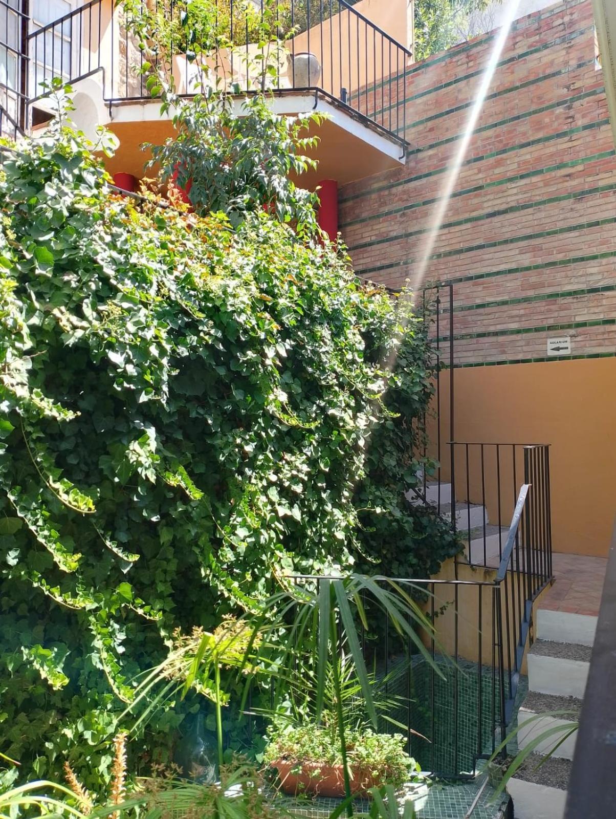 קאסורלה Casa Rural Plaza De Santa Maria מראה חיצוני תמונה